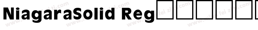NiagaraSolid Reg字体转换